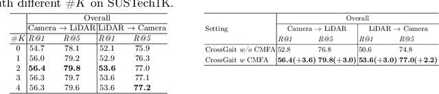 Figure 4 for Cross-Modality Gait Recognition: Bridging LiDAR and Camera Modalities for Human Identification