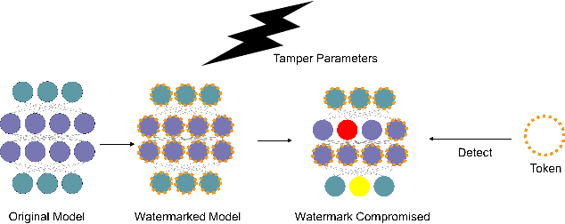 Figure 1 for Adaptive White-Box Watermarking with Self-Mutual Check Parameters in Deep Neural Networks