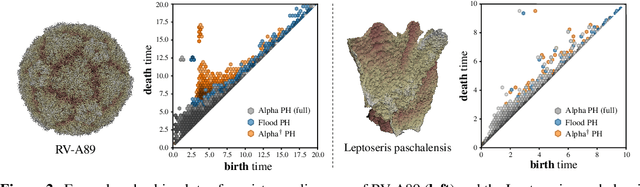 Figure 3 for The Flood Complex: Large-Scale Persistent Homology on Millions of Points