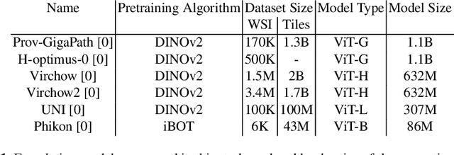 Figure 1 for Is Self-Supervision Enough? Benchmarking Foundation Models Against End-to-End Training for Mitotic Figure Classification