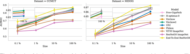 Figure 2 for Is Self-Supervision Enough? Benchmarking Foundation Models Against End-to-End Training for Mitotic Figure Classification