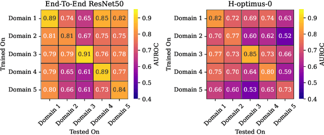 Figure 3 for Is Self-Supervision Enough? Benchmarking Foundation Models Against End-to-End Training for Mitotic Figure Classification