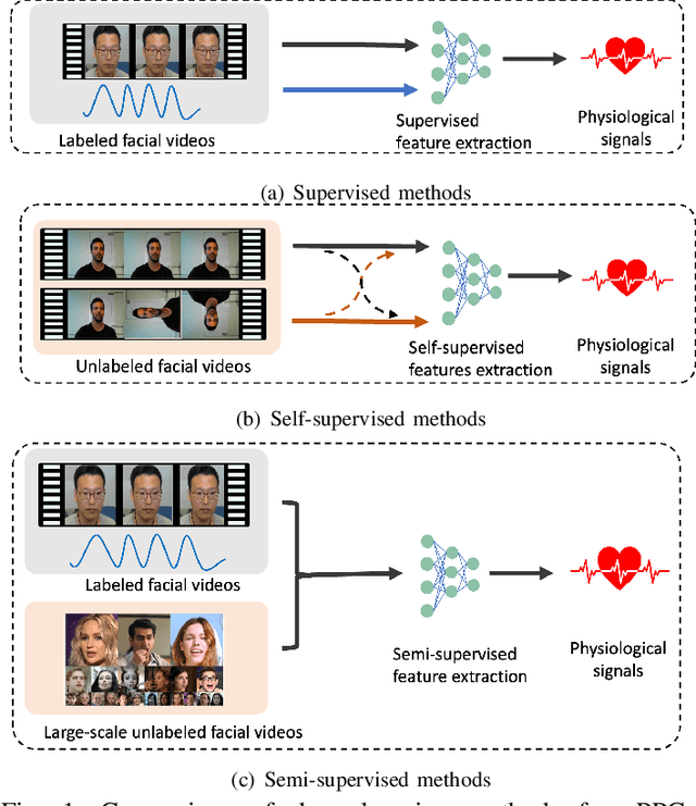 Figure 1 for Semi-rPPG: Semi-Supervised Remote Physiological Measurement with Curriculum Pseudo-Labeling