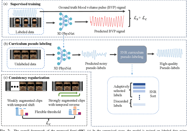 Figure 2 for Semi-rPPG: Semi-Supervised Remote Physiological Measurement with Curriculum Pseudo-Labeling