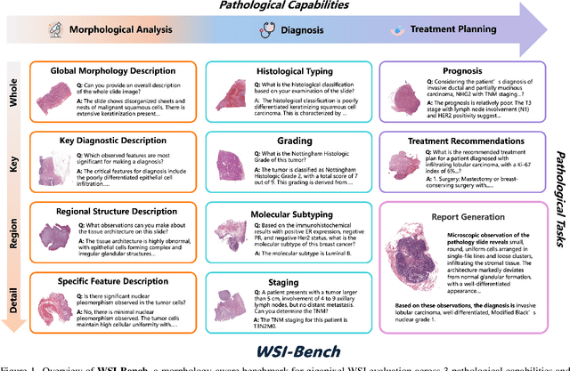 Figure 1 for WSI-LLaVA: A Multimodal Large Language Model for Whole Slide Image