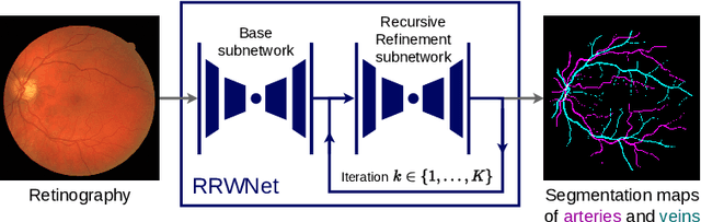 Figure 1 for RRWNet: Recursive Refinement Network for Effective Retinal Artery/Vein Segmentation and Classification