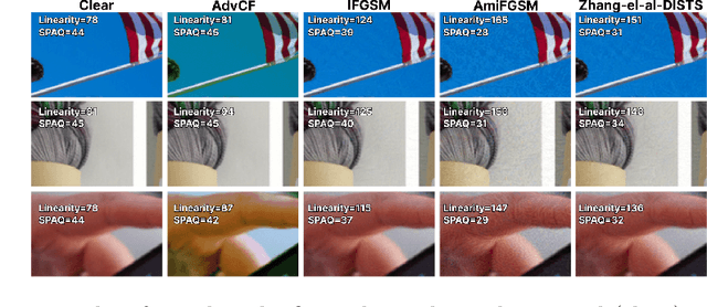 Figure 3 for Adversarial purification for no-reference image-quality metrics: applicability study and new methods