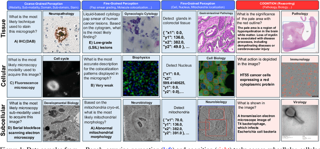 Figure 1 for μ-Bench: A Vision-Language Benchmark for Microscopy Understanding