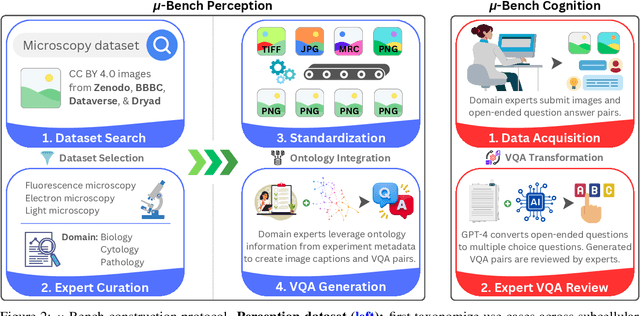 Figure 3 for μ-Bench: A Vision-Language Benchmark for Microscopy Understanding