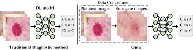 Figure 1 for Plaintext-Free Deep Learning for Privacy-Preserving Medical Image Analysis via Frequency Information Embedding