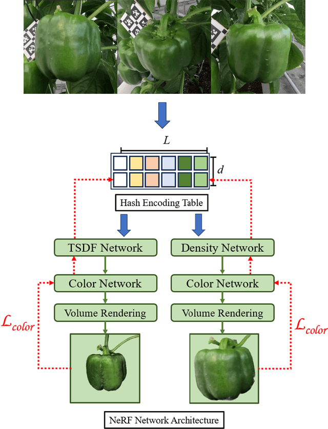 Figure 3 for Exploring Accurate 3D Phenotyping in Greenhouse through Neural Radiance Fields