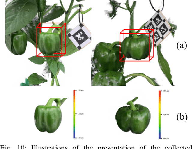 Figure 1 for Exploring Accurate 3D Phenotyping in Greenhouse through Neural Radiance Fields