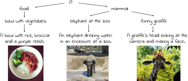 Figure 1 for Emergent Visual-Semantic Hierarchies in Image-Text Representations