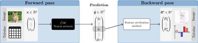 Figure 1 for Interpreting Deep Neural Networks with the Package innsight