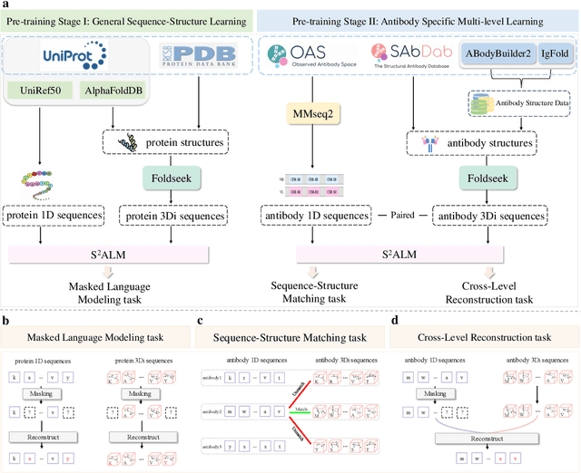 Figure 1 for S$^2$ALM: Sequence-Structure Pre-trained Large Language Model for Comprehensive Antibody Representation Learning