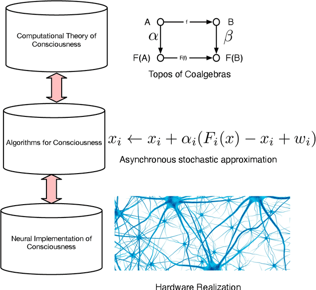 Figure 1 for Consciousness as a Functor