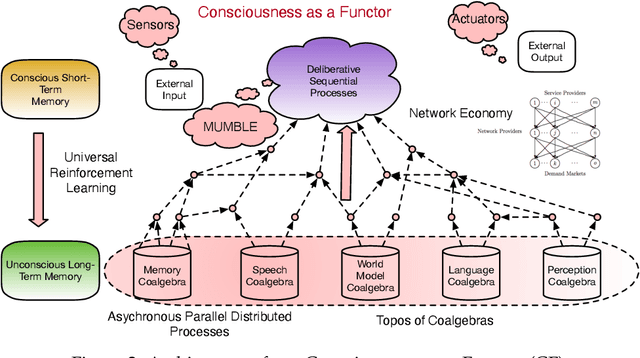 Figure 3 for Consciousness as a Functor