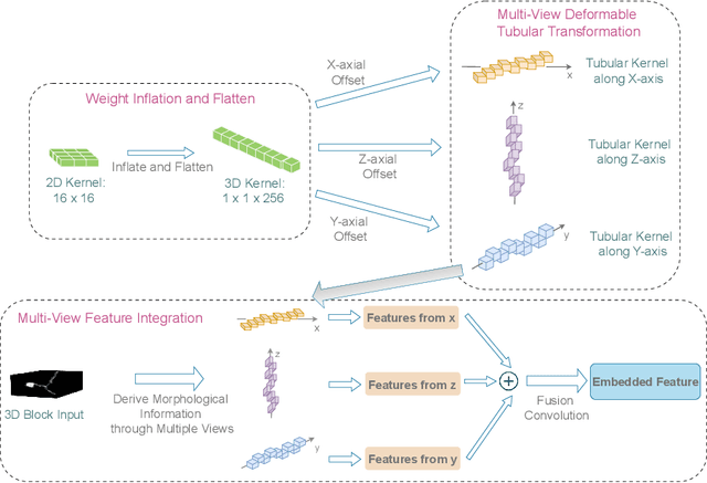 Figure 3 for DINeuro: Distilling Knowledge from 2D Natural Images via Deformable Tubular Transferring Strategy for 3D Neuron Reconstruction