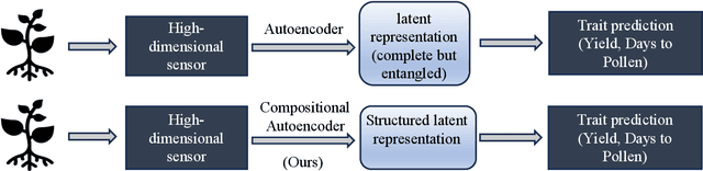 Figure 4 for Disentangling Genotype and Environment Specific Latent Features for Improved Trait Prediction using a Compositional Autoencoder