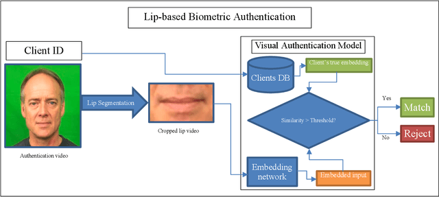 Figure 1 for WhisperNetV2: SlowFast Siamese Network For Lip-Based Biometrics