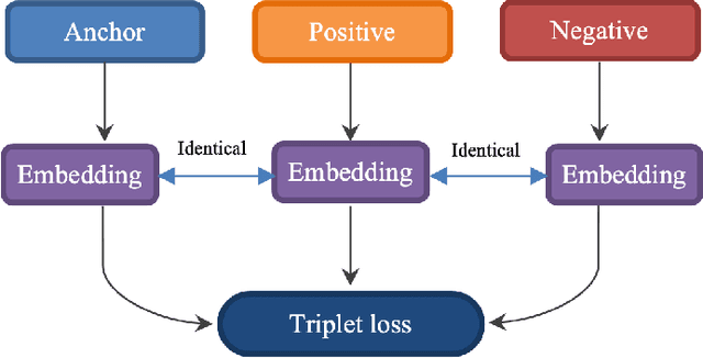 Figure 2 for WhisperNetV2: SlowFast Siamese Network For Lip-Based Biometrics