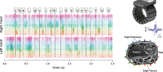 Figure 1 for emg2qwerty: A Large Dataset with Baselines for Touch Typing using Surface Electromyography