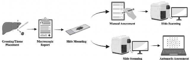 Figure 1 for CountPath: Automating Fragment Counting in Digital Pathology