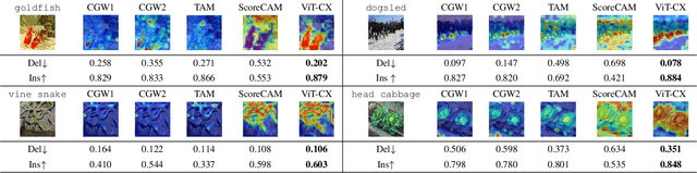 Figure 1 for ViT-CX: Causal Explanation of Vision Transformers