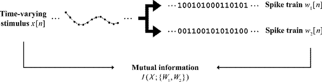 Figure 1 for Maximizing Information in Neuron Populations for Neuromorphic Spike Encoding