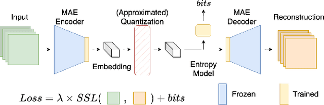 Figure 2 for Neural Embedding Compression For Efficient Multi-Task Earth Observation Modelling