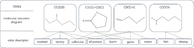Figure 2 for Molecular Odor Prediction Based on Multi-Feature Graph Attention Networks
