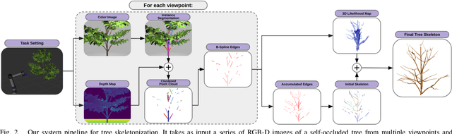 Figure 3 for Occlusion Reasoning for Skeleton Extraction of Self-Occluded Tree Canopies