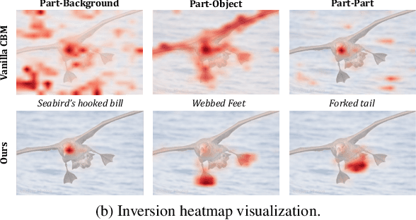 Figure 1 for Discovering Fine-Grained Visual-Concept Relations by Disentangled Optimal Transport Concept Bottleneck Models