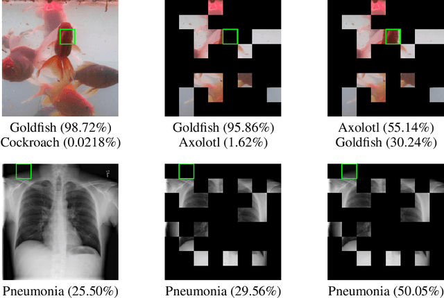 Figure 1 for Stability Guarantees for Feature Attributions with Multiplicative Smoothing