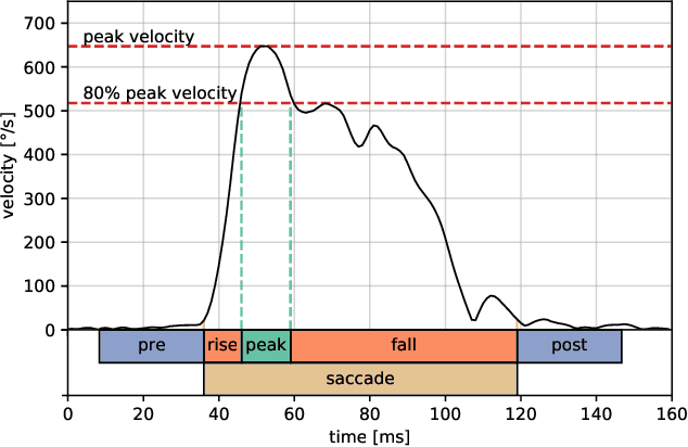 Figure 3 for Bridging the Gap: Gaze Events as Interpretable Concepts to Explain Deep Neural Sequence Models