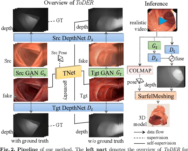 Figure 2 for ToDER: Towards Colonoscopy Depth Estimation and Reconstruction with Geometry Constraint Adaptation