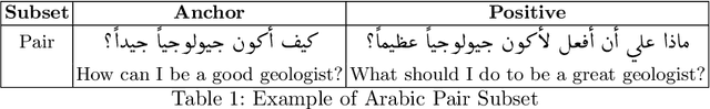 Figure 1 for Enhancing Semantic Similarity Understanding in Arabic NLP with Nested Embedding Learning