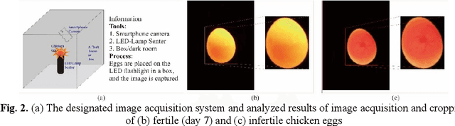 Figure 3 for Nondestructive chicken egg fertility detection using CNN-transfer learning algorithms