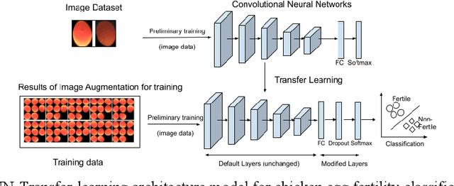 Figure 4 for Nondestructive chicken egg fertility detection using CNN-transfer learning algorithms