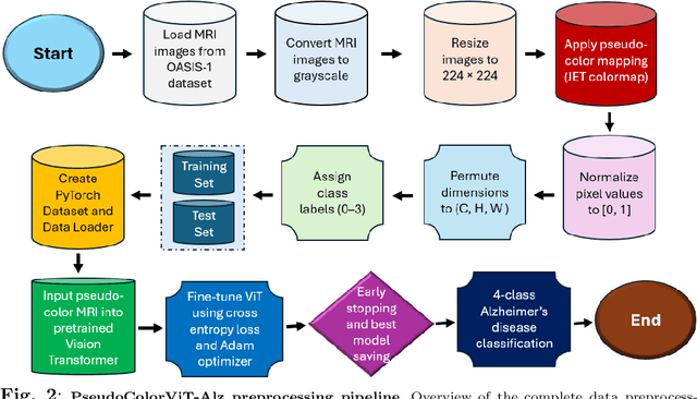 Figure 3 for Colormap-Enhanced Vision Transformers for MRI-Based Multiclass (4-Class) Alzheimer's Disease Classification