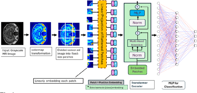 Figure 4 for Colormap-Enhanced Vision Transformers for MRI-Based Multiclass (4-Class) Alzheimer's Disease Classification