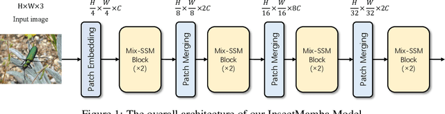 Figure 1 for InsectMamba: Insect Pest Classification with State Space Model