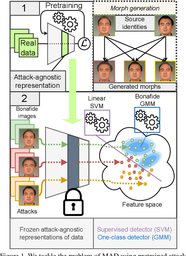 Figure 1 for Evaluating the Effectiveness of Attack-Agnostic Features for Morphing Attack Detection