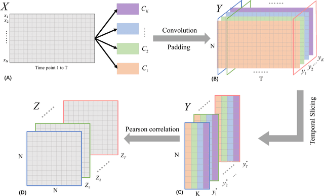 Figure 1 for No More Sliding-Windows: Dynamic Functional Connectivity Based On Random Convolutions Without Learning