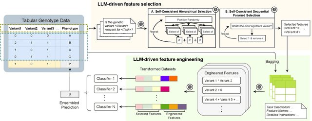 Figure 1 for Knowledge-Driven Feature Selection and Engineering for Genotype Data with Large Language Models