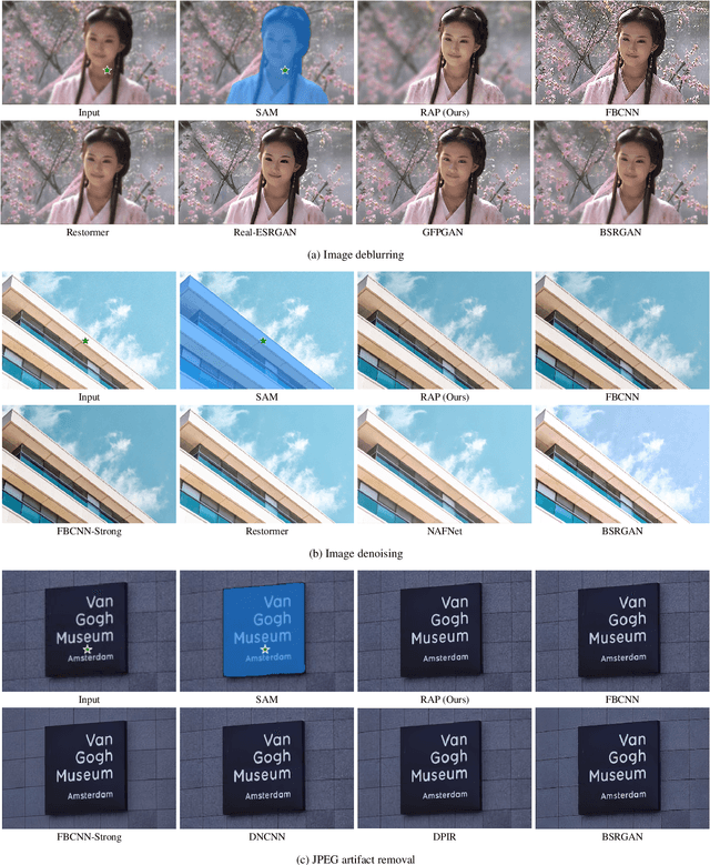 Figure 4 for Restore Anything Pipeline: Segment Anything Meets Image Restoration