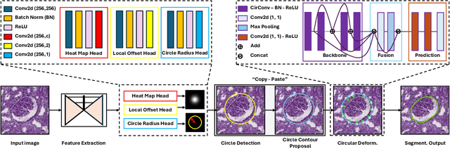 Figure 3 for Circle Representation for Medical Instance Object Segmentation