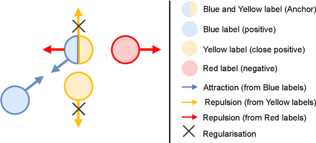 Figure 1 for Multi-Label Contrastive Learning : A Comprehensive Study