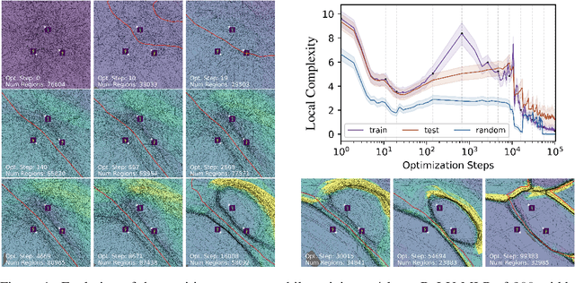 Figure 1 for Training Dynamics of Deep Network Linear Regions