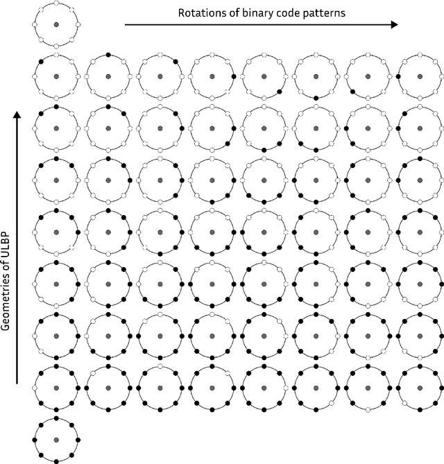 Figure 3 for Comparing the Effects of Persistence Barcodes Aggregation and Feature Concatenation on Medical Imaging